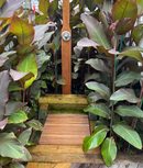 30" x 30" Teak Bath or Shower Mat with Rounded Corners